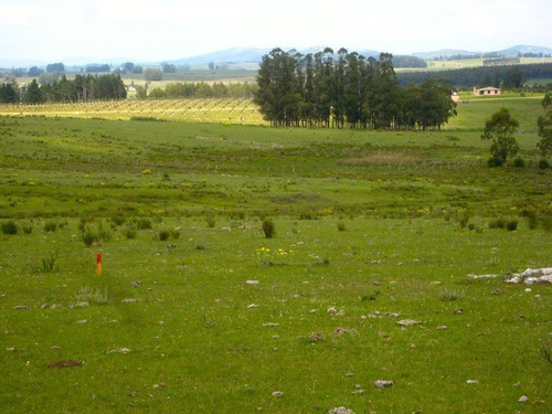 Imagen 10 de 11 de Campo En Venta Otras 5 Hectáreas