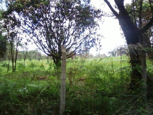 Imagem 11 de 20 de Terreno Em Condomínio Terra Fertíl, Mateus Leme/mg De 0m² À Venda Por R$ 219.000,00 - Te440648