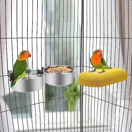 Wontee Cuenco De Agua Para Comida Para Mascotas Con Soporte