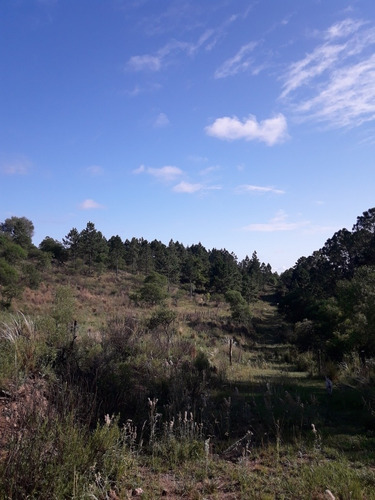 Imagen 5 de 6 de Hectareas En Venta Sobre Ruta En Villa General Belgrano ( A