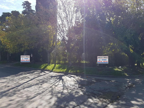 Imagen 2 de 3 de Fracción De 1356m2 - Ituzaingo Norte