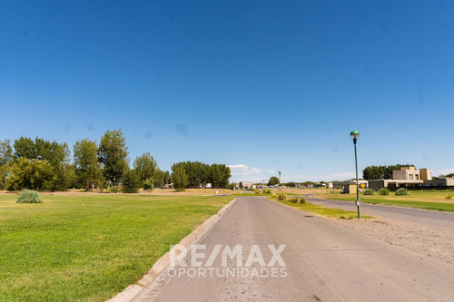 Imagen 15 de 17 de Venta - Terreno Canales De Plottier