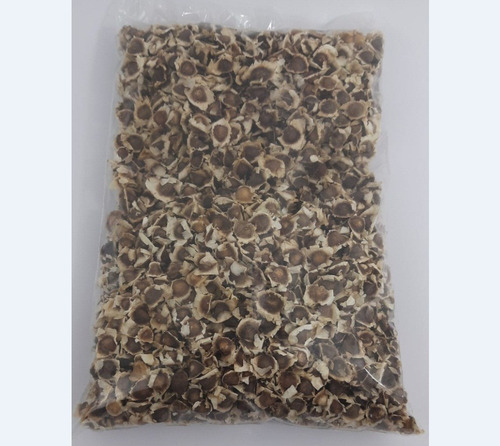 1000 Semente De Moringa Silagem Plantio Alta Germinação