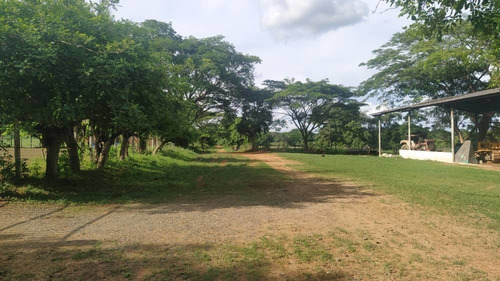 Imagen 2 de 12 de Finca Agropecuaria En Guanare, Portuguesa En Venta