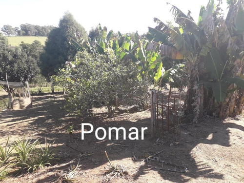 Imagem 2 de 9 de Chácara 20000m2, Pomar, Canil, Galinheiro, Poço Caipira, Casa Sede 100m2, 3 Dormitórios, 1 Banheiro, Piscina, Ótima Localização - Ch00292 - 71096840