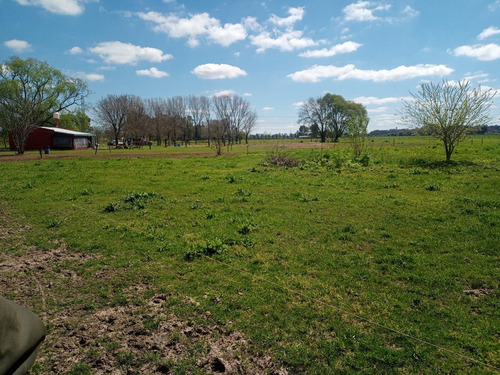 Imagen 26 de 30 de Campo En Venta Zona Polo, Pilar, Con 2 Canchas De Polo Y Varias Mejoras