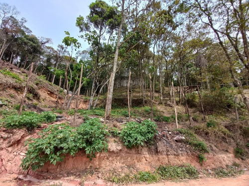 Imagem 9 de 12 de Terreno Mairiporã 800 Metros