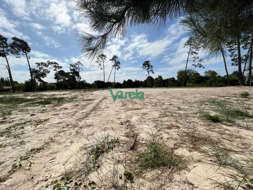 Imagen 4 de 9 de Venta De Terrenos En Salinas Sur