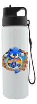 Comprar Termos Pitillo Sonic Video Juego Lata Aluminio Botilito