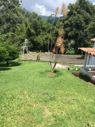 Finca En Venta En Villa Roca. Cod V10881