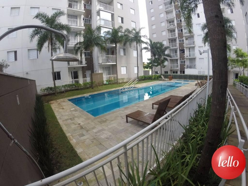 Imagem 22 de 30 de Apartamento - Ref: 231268
