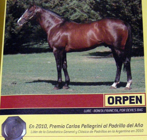 Haras Carampangue Anuario 2014 Potrillos Potrancas Caballos