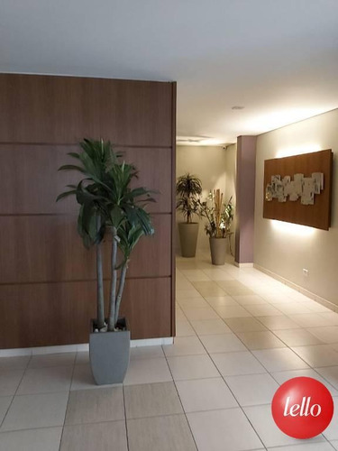 Imagem 24 de 29 de Apartamento - Ref: 237973
