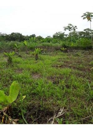 Imagem 3 de 10 de Terreno Com 712 M², Aceita Entrada E Parcelas. | 9247-pc