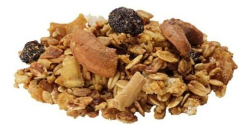 Kit 3 Granola Tradicional Especial Tia Sônia Lata 500g Cada