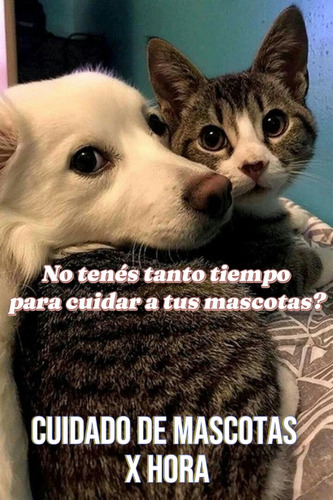 Cuido A Tu Perro O Gato En Capital Federal 