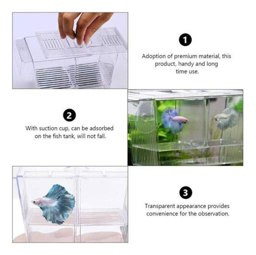 Caja Grande De Aislamiento Para Cría De Criaderos De Guppy P