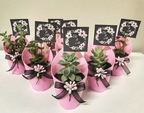 Imagen 4 de 8 de Suculentas, Cactus Recuerdos Eventos, Matrimonio,bautizo