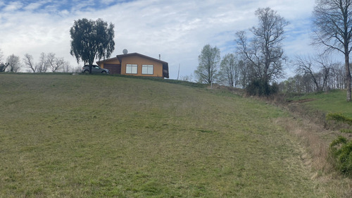 Vendo Campo 6 Ha Con Casa Camino Huichahue (66896)
