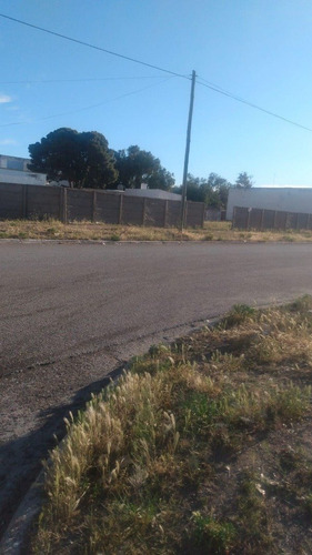 Imagen 3 de 4 de Terreno San Antonio Oeste - Rio Negro