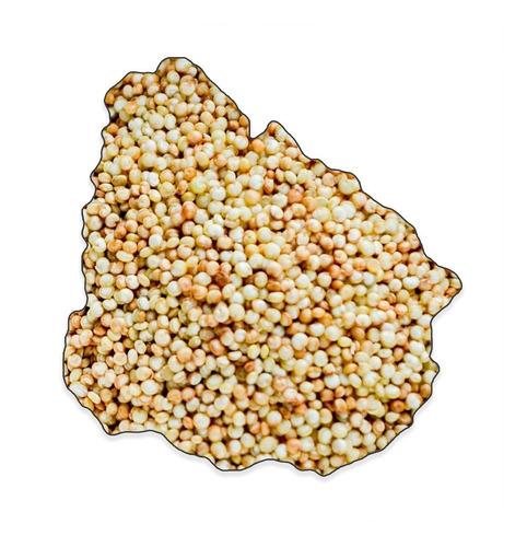 Semillas Quinoa Dorada - Excelente Calidad - 1kg - Envios