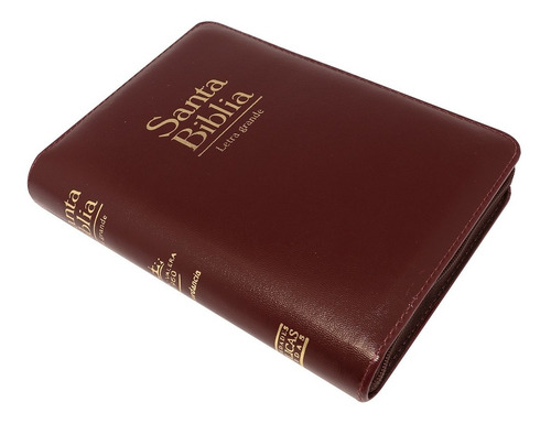 Biblia Reina Valera 1960 Concordancia Letra Grande Color Vin