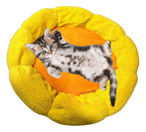 Cama Elevada Para Perro Gatos Camas De Perro Mascotas Xl