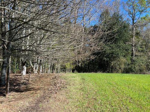 Camino Huichahue