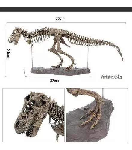 Esqueleto 4d Tiranossauro Rex Grande Dinossauro Para Montar