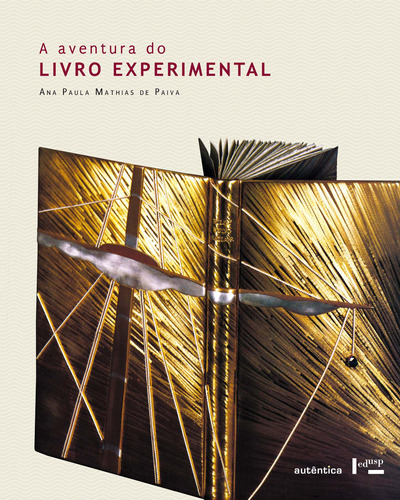 A aventura do livro experimental, de Paiva, Ana Paula Mathias de. Autêntica Editora Ltda., capa dura em português, 2010