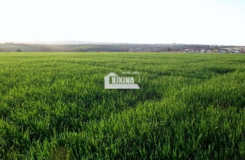 Chácara Para Venda - 12604