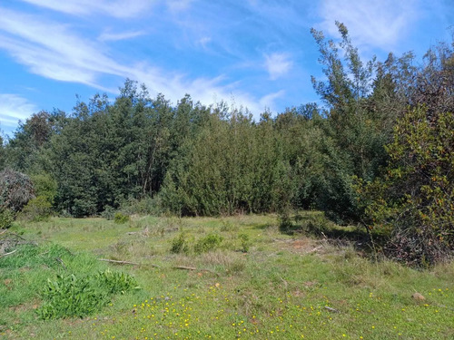 Parcela En Venta En Sector Rabones, Colbún (172898)