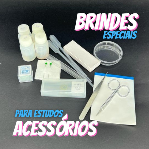 Microscópio Escolar Mono Led 640x Bivolt Nota Fiscal + Frete