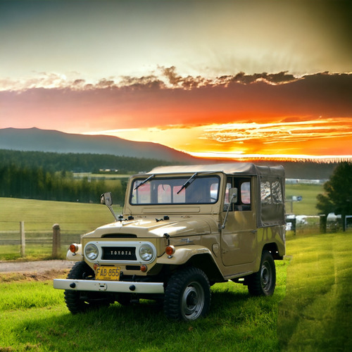 Toyota Fj Cruiser Fj 40 Carpado