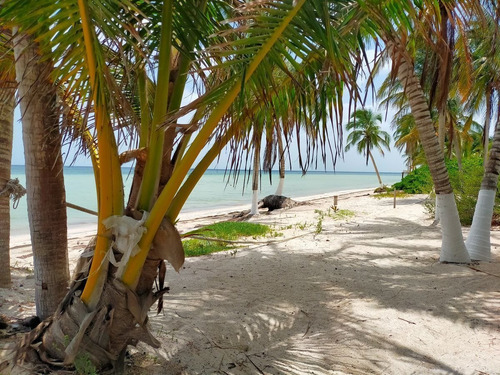 Imagen 20 de 23 de Playales, Venta De Terrenos Premium En Telchac Con Casa Club