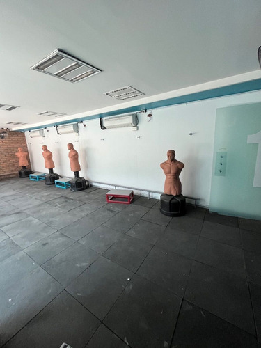 Local Comercial En Palmas Para Gym