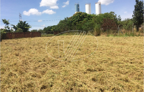 Imagem 3 de 7 de Terreno À Venda Em Parque Das Palmeiras - Te224775
