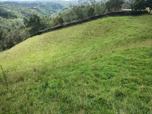 Finca En Guarne Ovejas