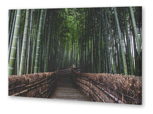 Cuadro 60x90cm Bosque Bambu Japón Entrada Camino