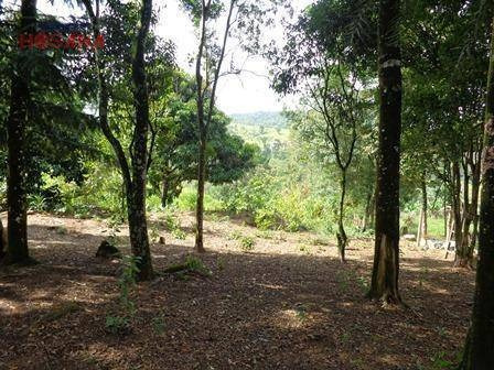 Imagem 9 de 15 de Chácara Residencial À Venda, Aldeia Ivoturucaia, Franco Da Rocha. - Ch0001
