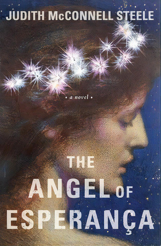 The Angel Of Esperanca, De Judith Mcnell Steele. Editorial Mill Park Publishing, Tapa Blanda En Inglés