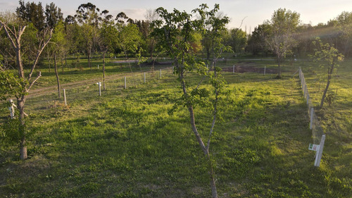 Terreno En Venta En Moreno