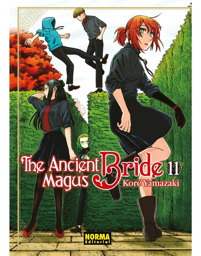 The Ancient Magus Bride No. 11