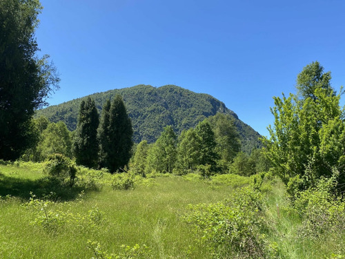 Tu Refugio En La Naturaleza! Parcela A Minutos De Pucón