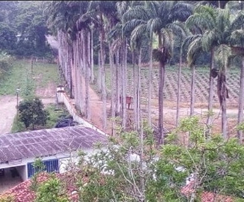 Venta De Finca 21 H:a En Sabaneta , Montalban , Carabobo Liortg 2
