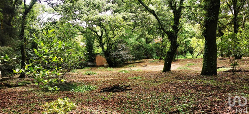 Venta Terreno 0 Ambiente Los Ocotes