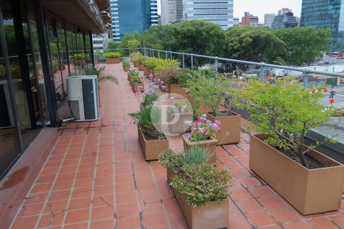 Imagen 15 de 27 de Oficina De Categoría - Puerto Madero
