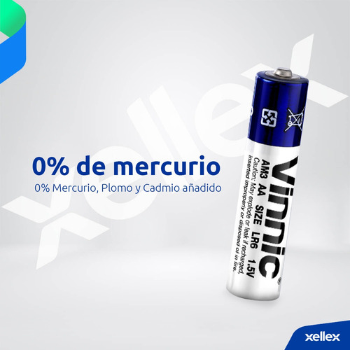 Pilas Aa Alcalinas Vinnic Pack X 12 Unidades Bp4