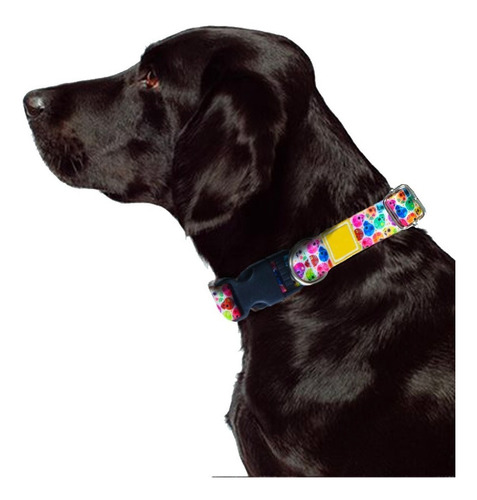 Collar Estampado Perros Chicos Medianos  Confort  Calidad