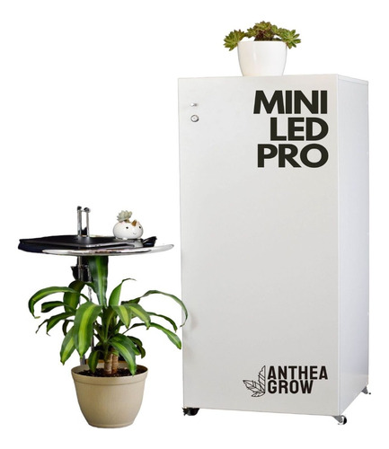 Armario Indoor Cultivo Completo Mini - Incluye Lampara Y Extractor - Listo Para Enchufar Anthea